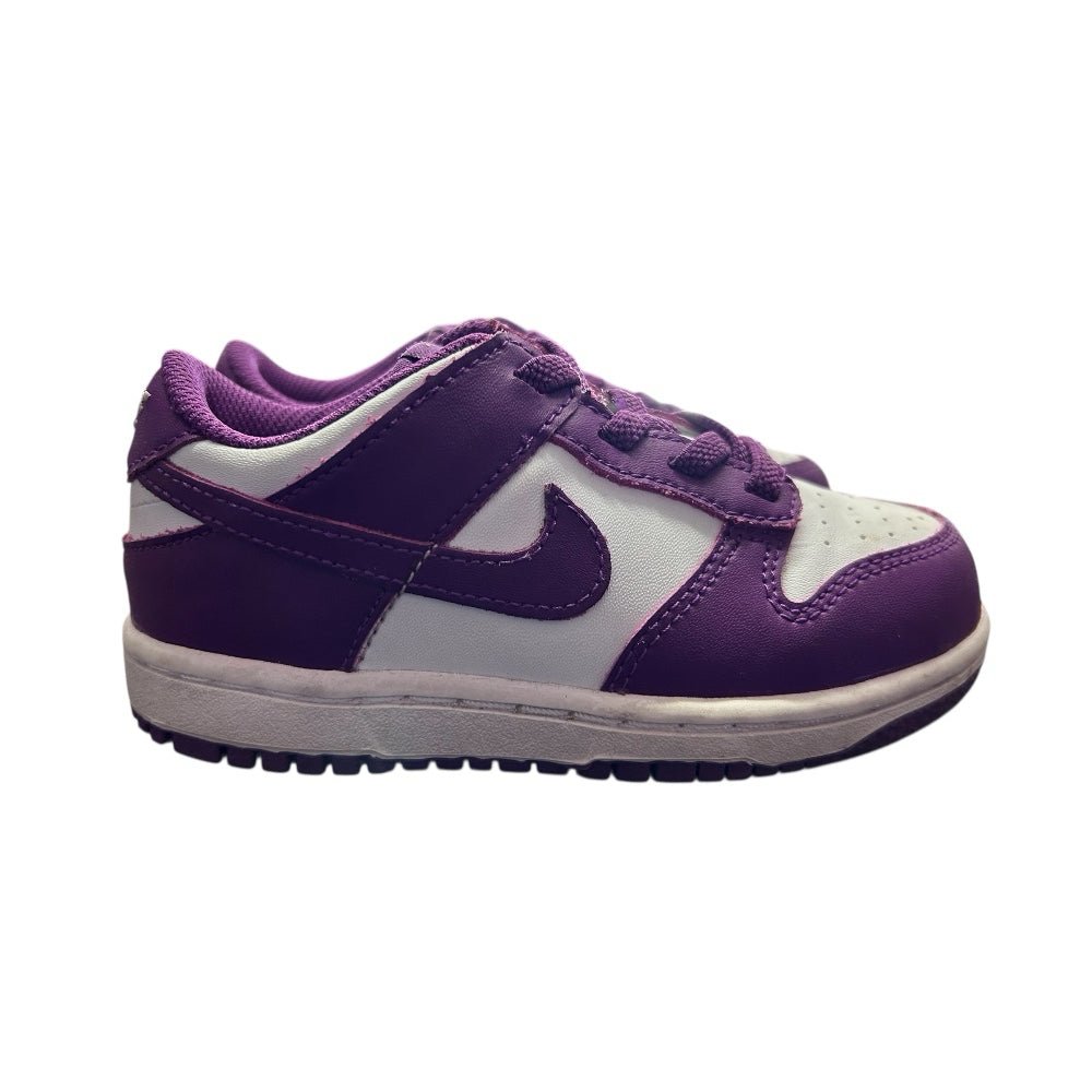 Nike Dunk Low Viotech Sneakers Shoes FB9107-110 YOUTH SIZE 9C | Finer Things Resale