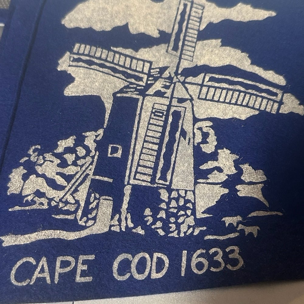 michigan cape cod felt pennant 24 - 2