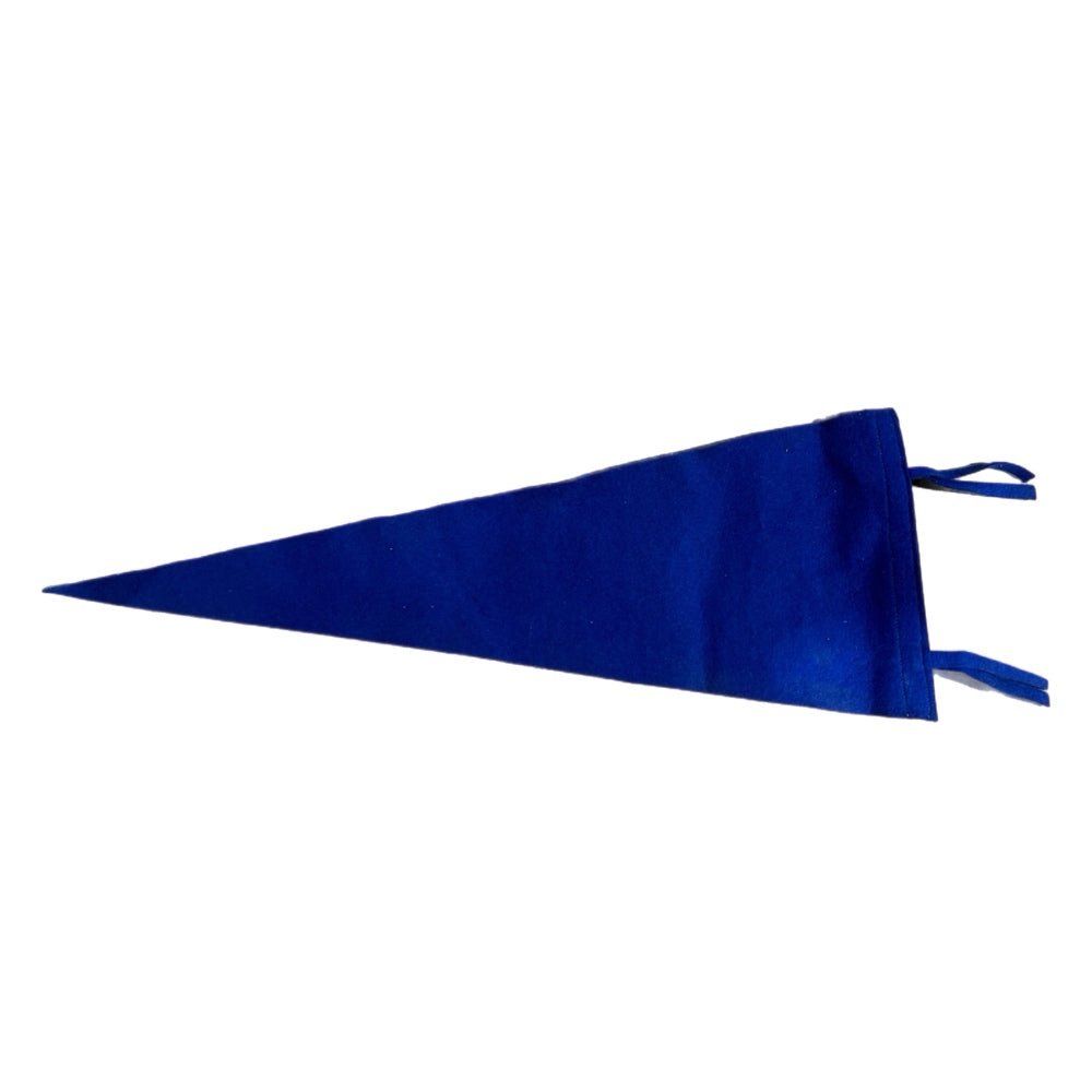 michigan cape cod felt pennant 24 - 1