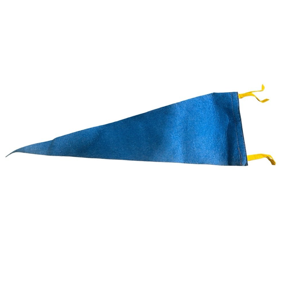 Ripley, N.Y. New York felt pennant 26" VINTAGE 1960's | Finer Things Resale