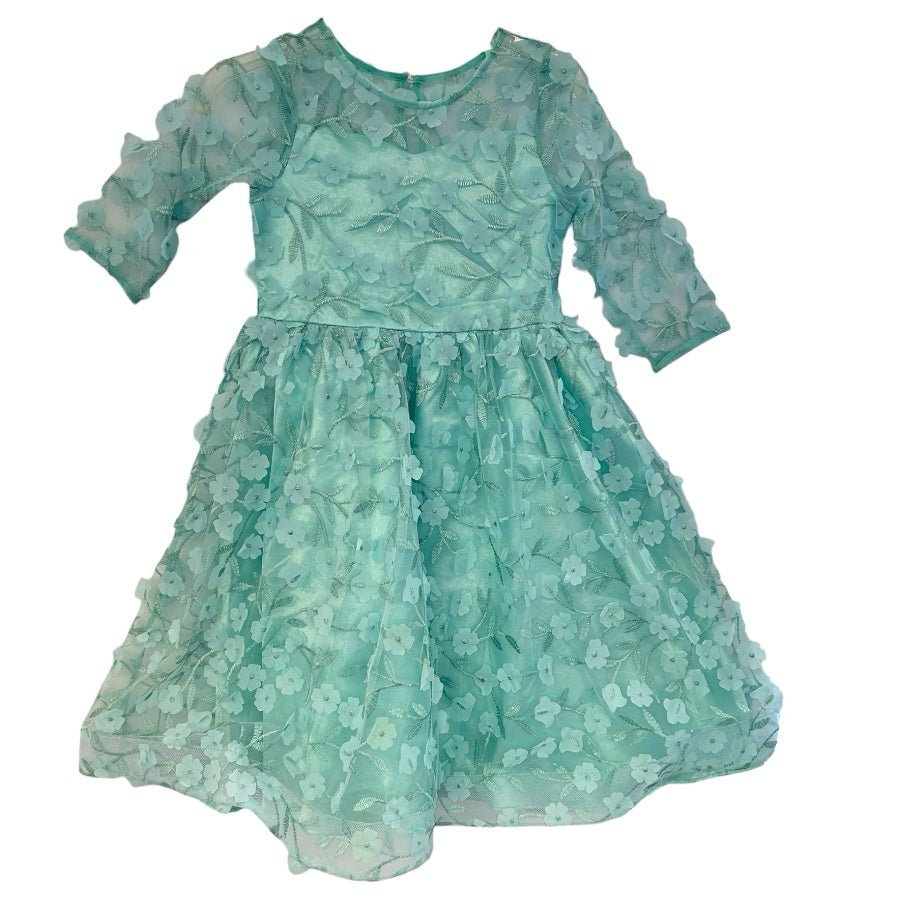 Rare Editions Floral Embroidered Mesh Tulle Party Dress GIRLS 6X | Finer Things Resale