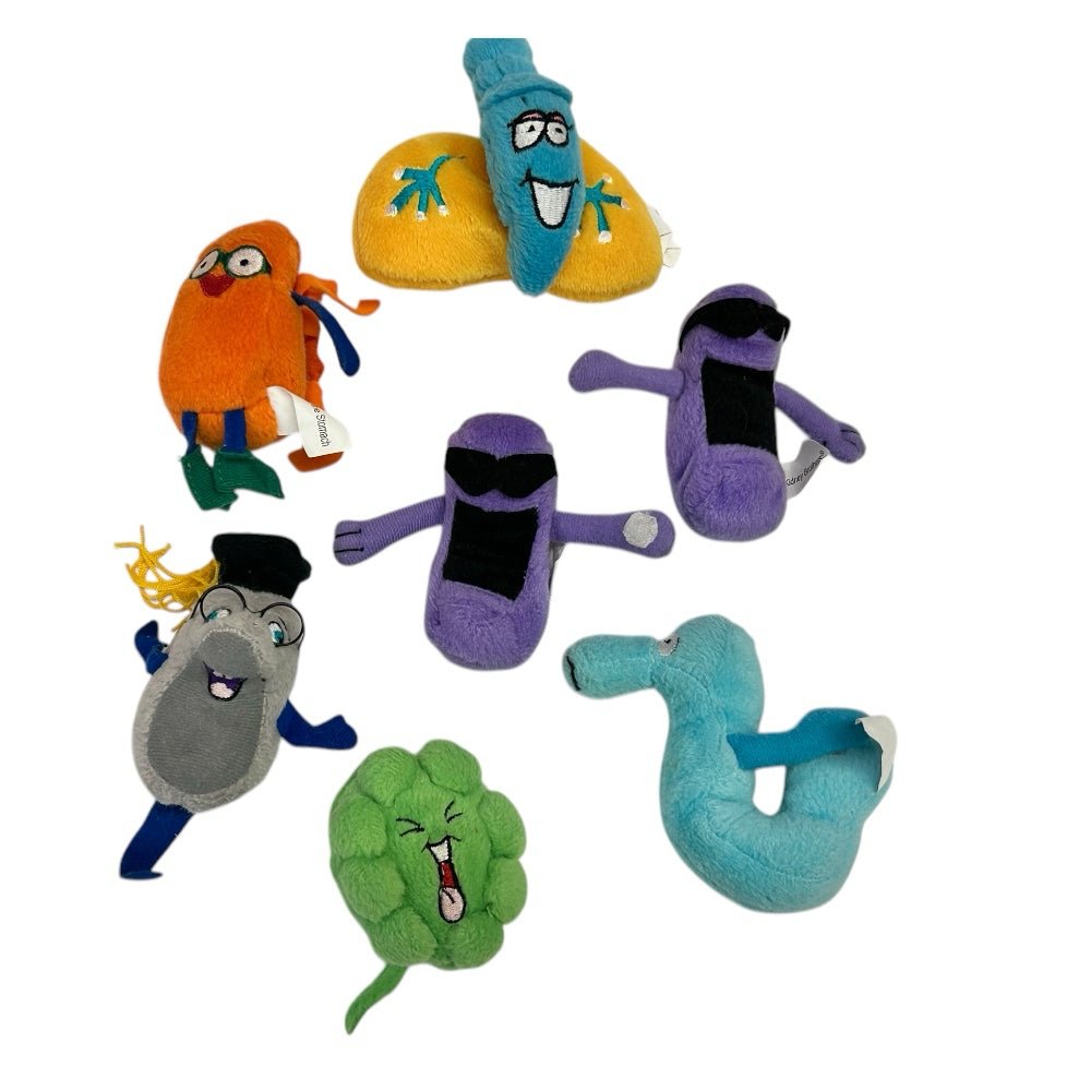 Little Organ Annie Teaching Medical Doll with 7 organs Organ Wise Guys | Finer Things Resale