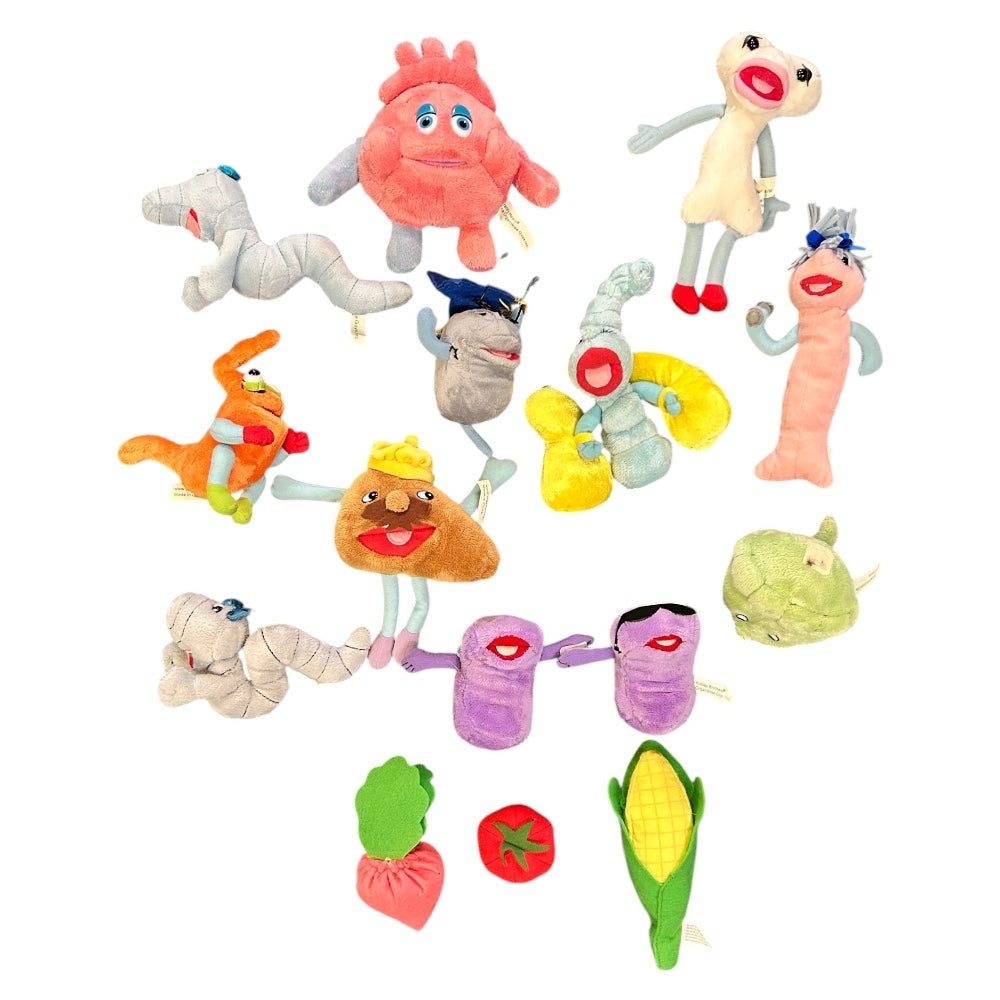 Little Organ Andy Teaching Medical Doll 30" Includes 11 organs & teaching lesson