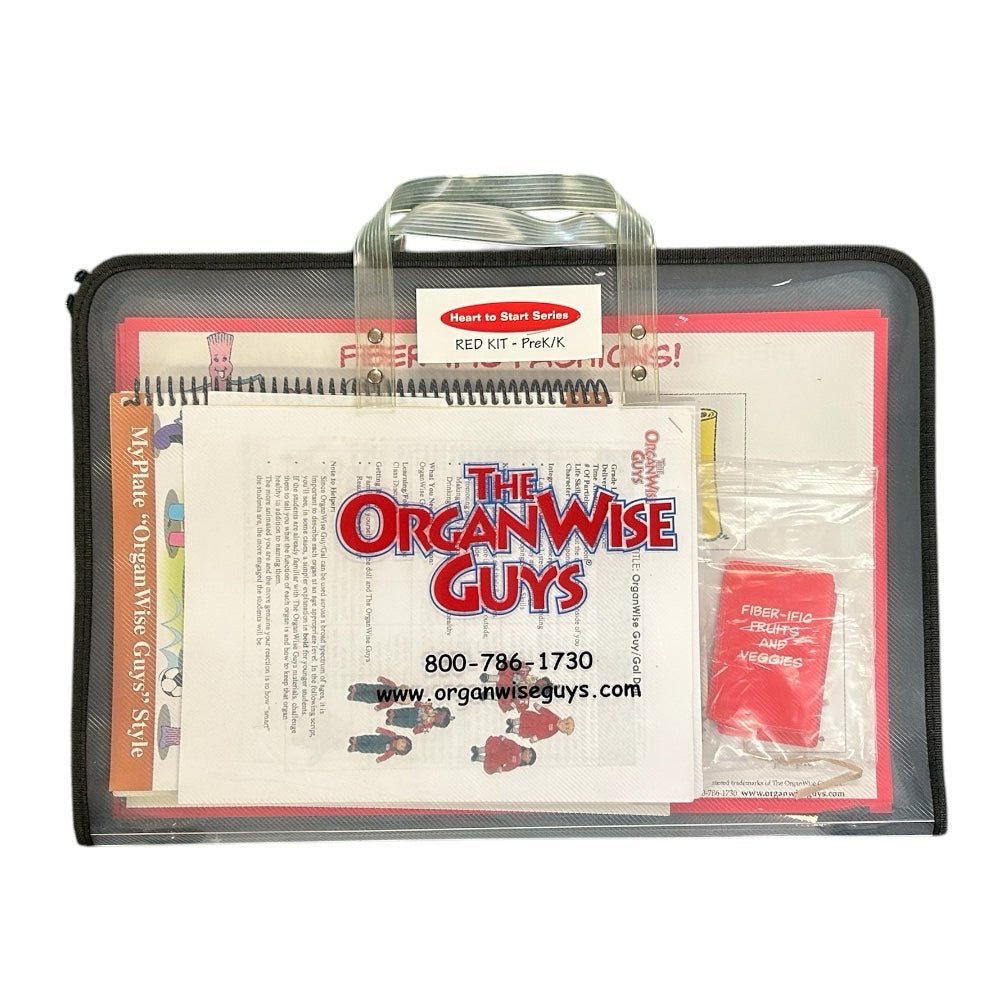 Little Organ Andy Teaching Medical Doll 30" Includes 11 organs & teaching lesson | Finer Things Resale
