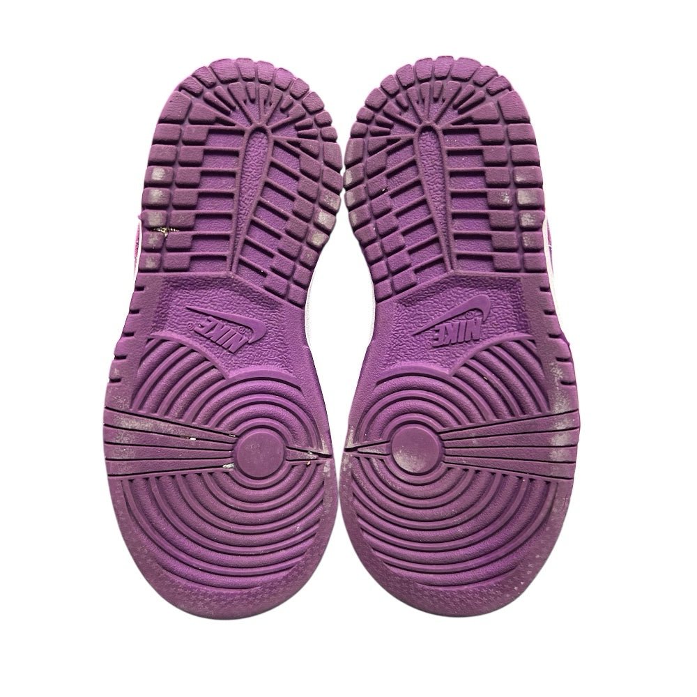 Nike Dunk Low Viotech Sneakers Shoes FB9107-110 YOUTH SIZE 9C | Finer Things Resale