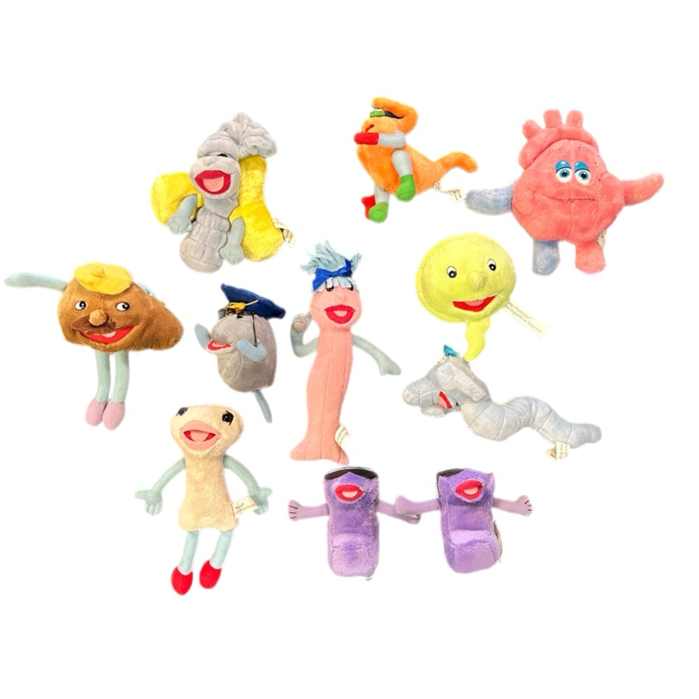 Little Organ Andy Teaching Medical Doll 30" Includes 11 organs & teaching lesson