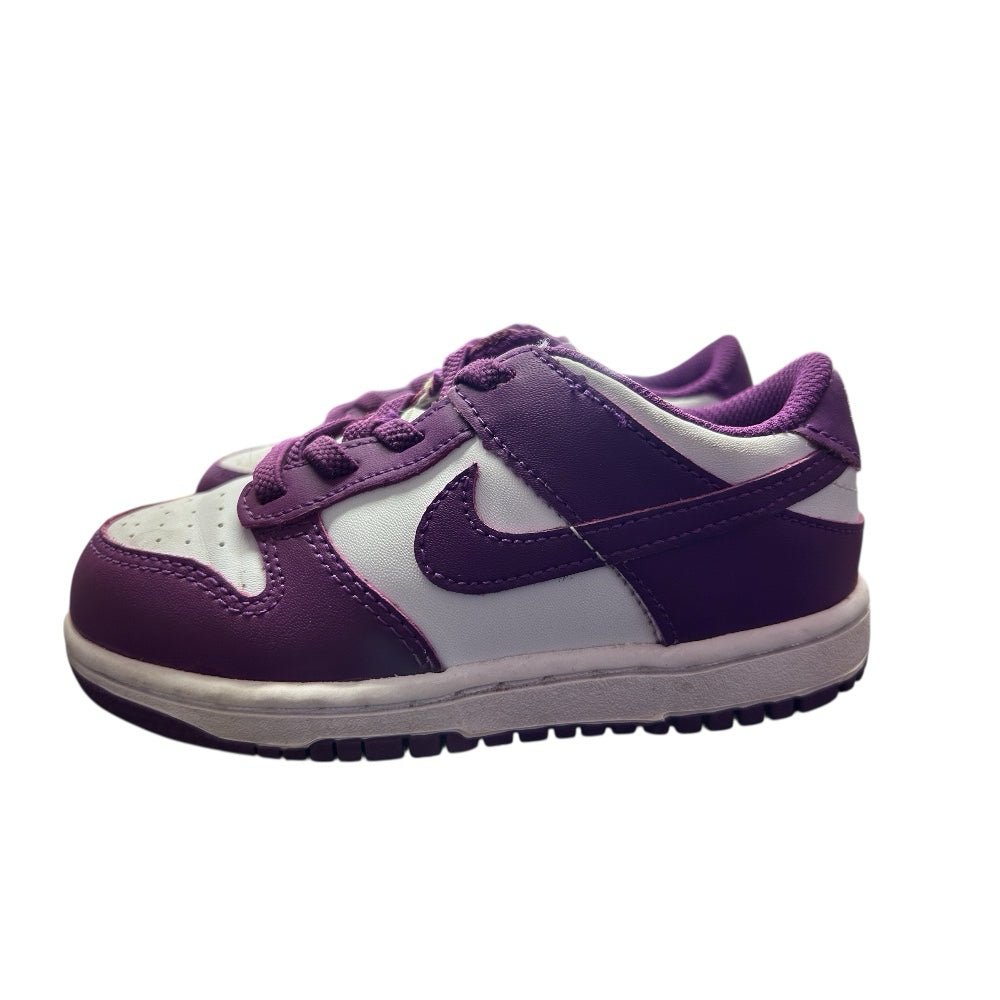 Nike Dunk Low Viotech Sneakers Shoes FB9107-110 YOUTH SIZE 9C | Finer Things Resale