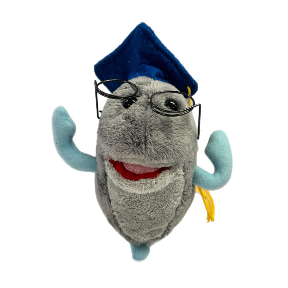 The OrganWise Guys Sir Rebrum the Brain beanbag plush toy REPLACEMENT
