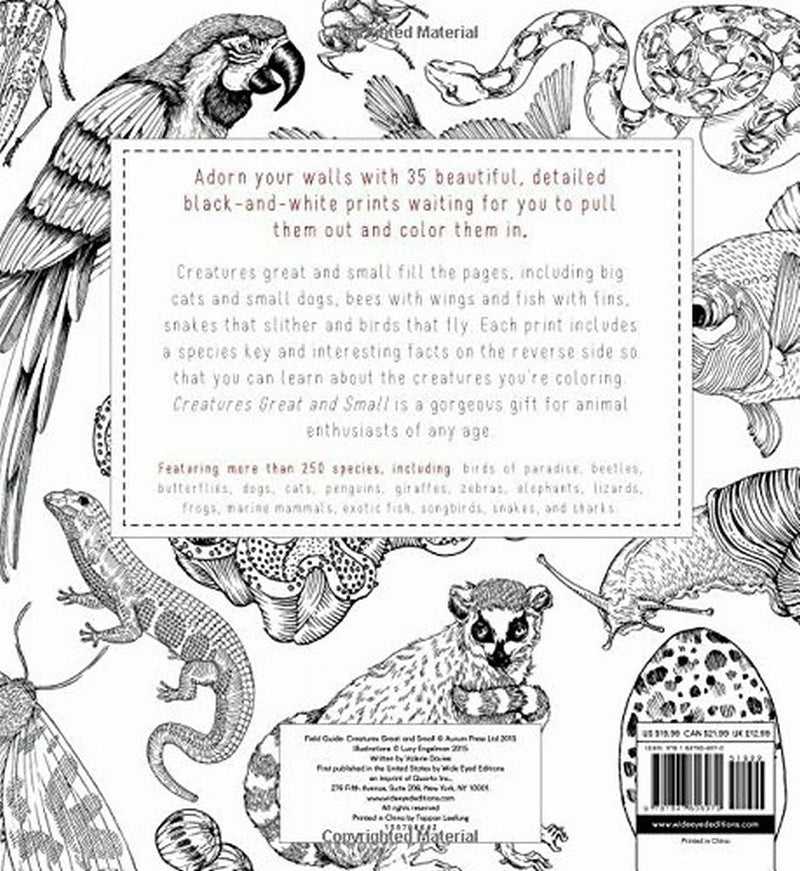 Field Guide Creatures Great and Small 35 prints to color NEW! | Finer Things Resale