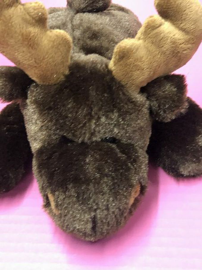 Wishpets 2012 Coco plush stuffed animal Moose 12" | Finer Things Resale