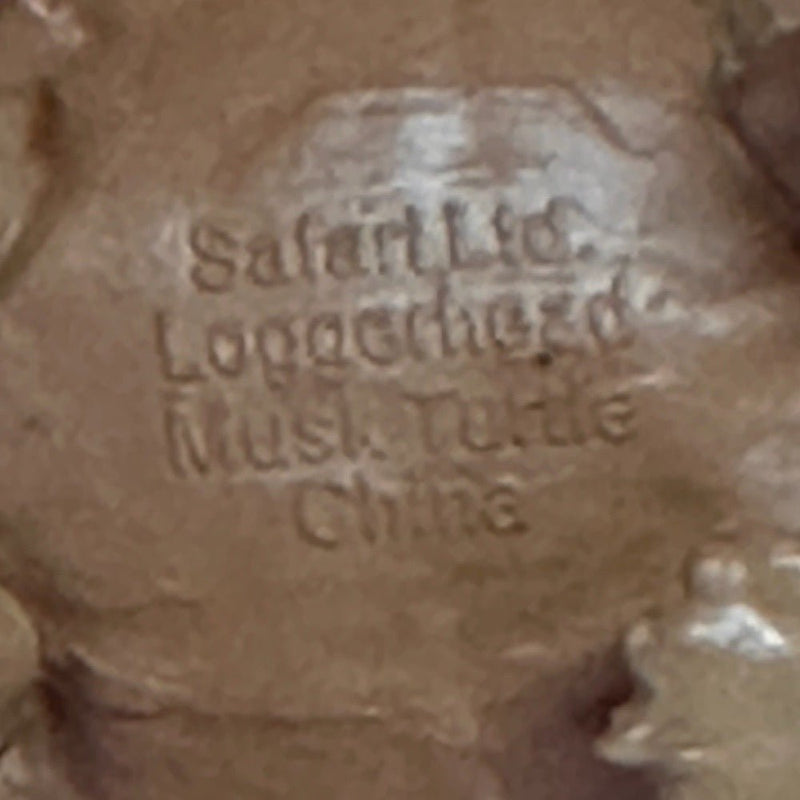 Safari Ltd Loggerhead Musk Turtle Animal Mini PVC figure | Finer Things Resale