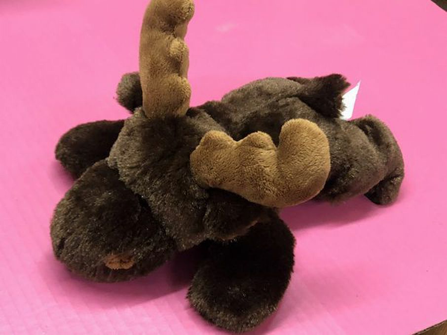 Wishpets 2012 Coco plush stuffed animal Moose 12" | Finer Things Resale