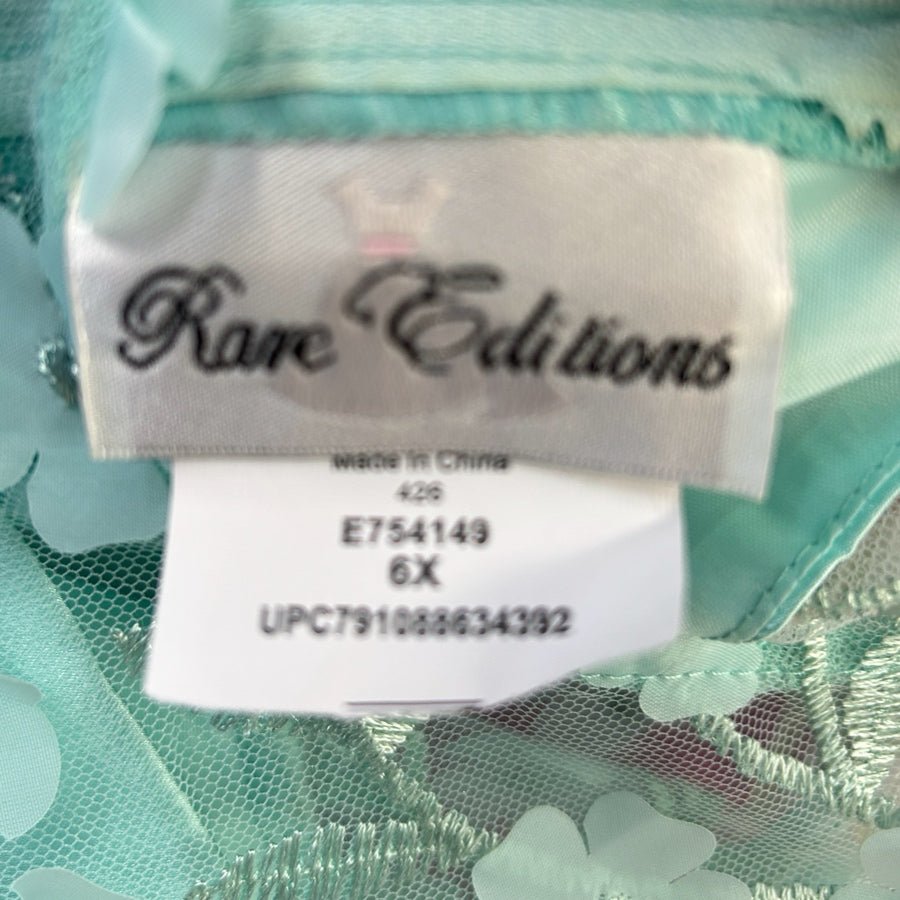 Rare Editions Floral Embroidered Mesh Tulle Party Dress GIRLS 6X | Finer Things Resale