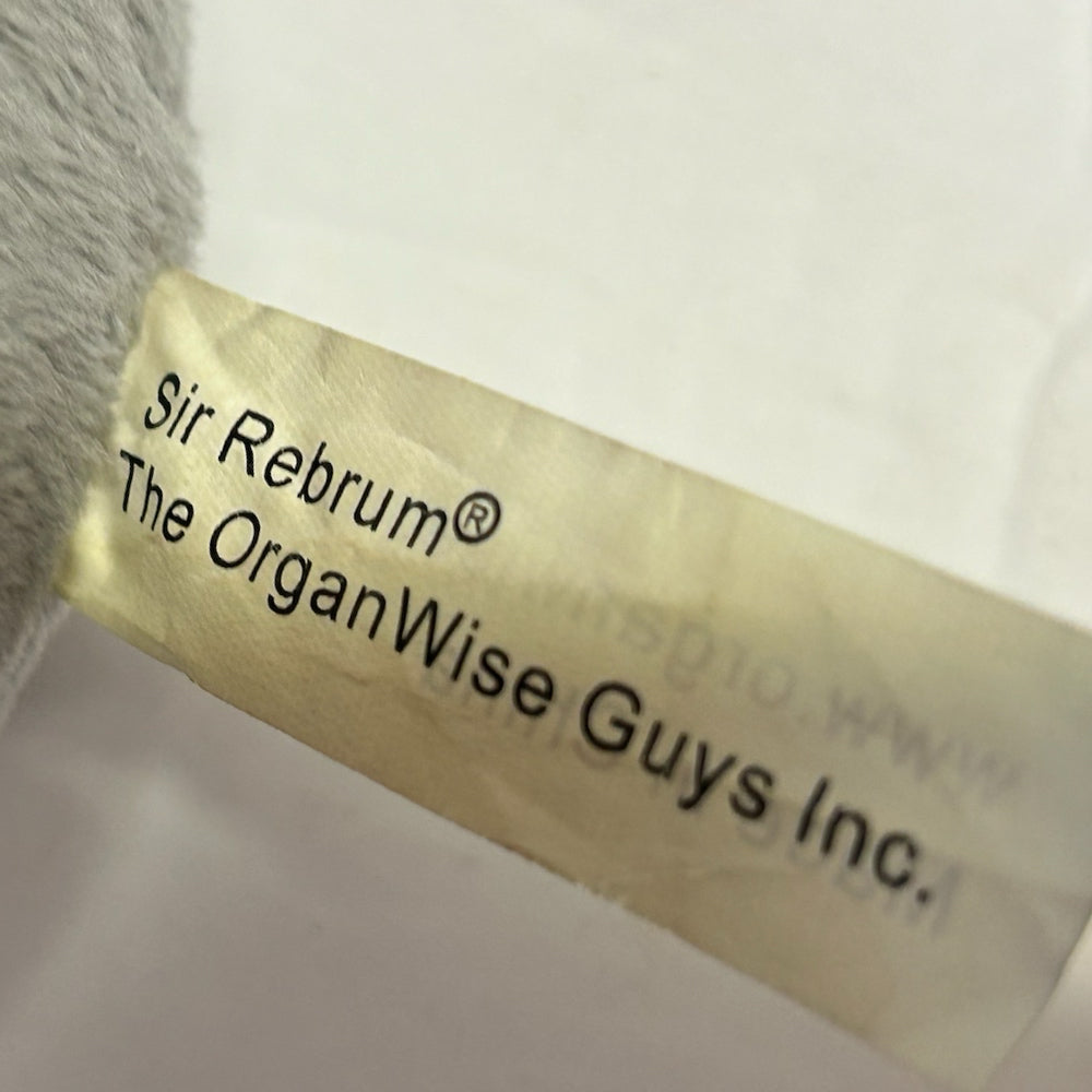 The OrganWise Guys Sir Rebrum the Brain beanbag  plush toy REPLACEMENT