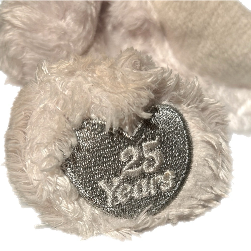Care Bears 25th Anniversary Swarovski Crystals plush 11" ViNTAGE 2007