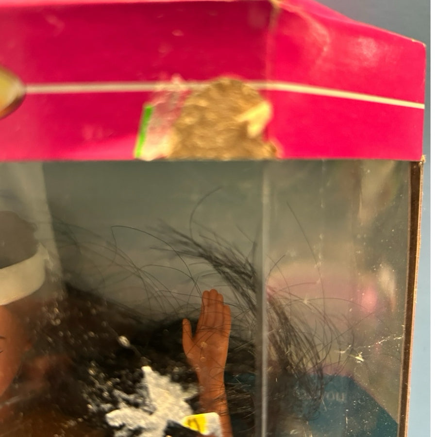 Barbie Native American Indian American Stories Doll 14715 Mattel 1995  NIB | Finer Things Resale