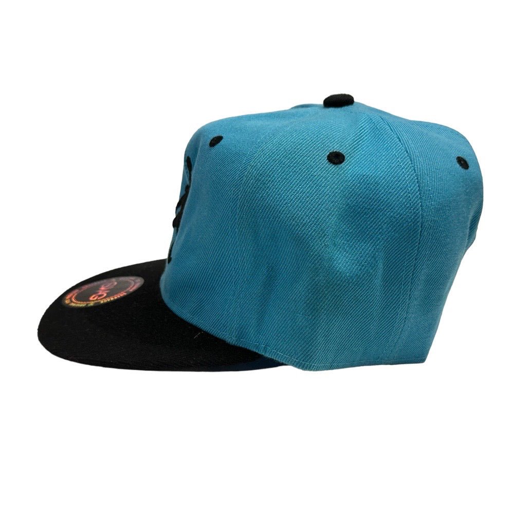 Air Jordan Jumpman Nike baseball hat cap Snapback Swag | Finer Things Resale