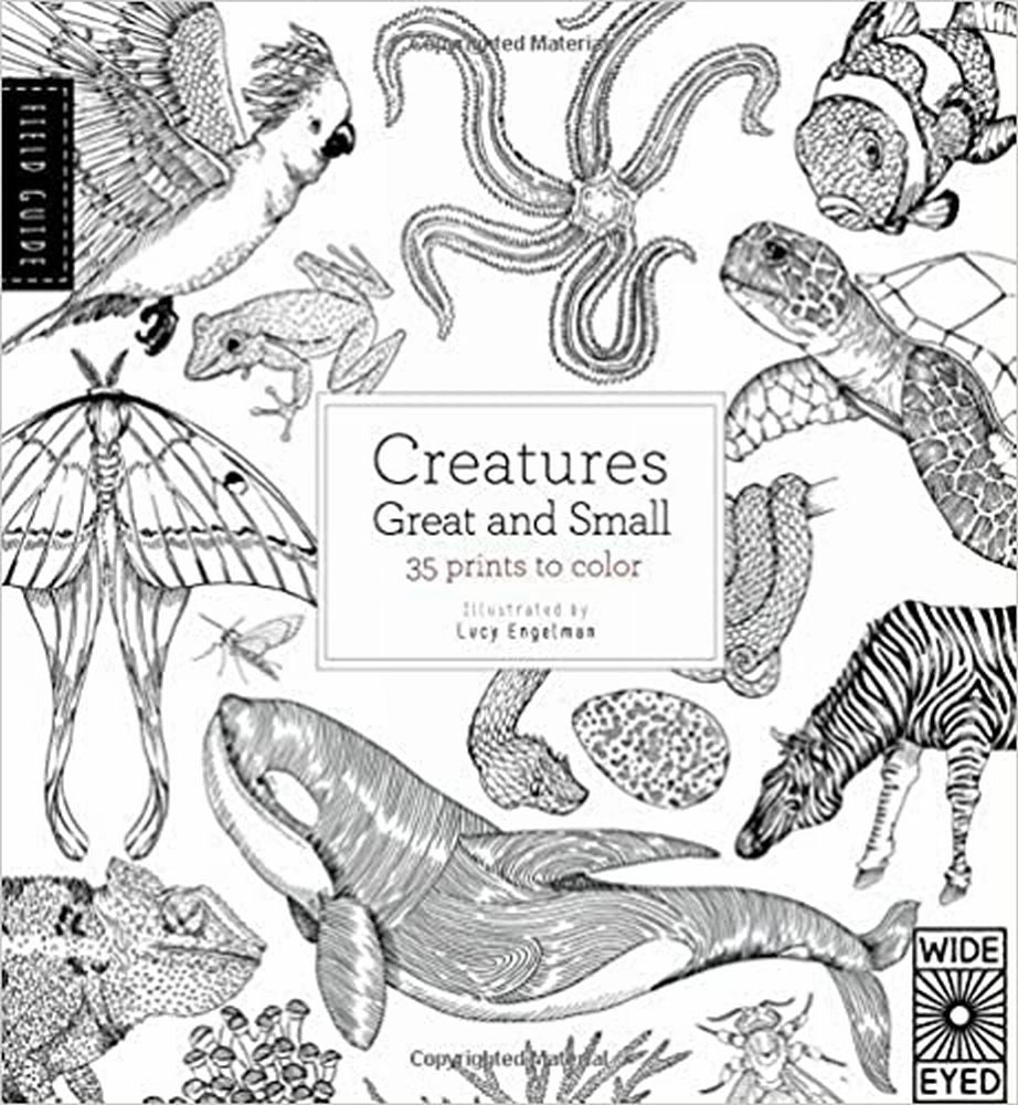 Field Guide Creatures Great and Small 35 prints to color NEW! | Finer Things Resale